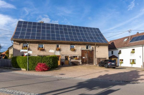Schwarzwald - Ferienhaus In